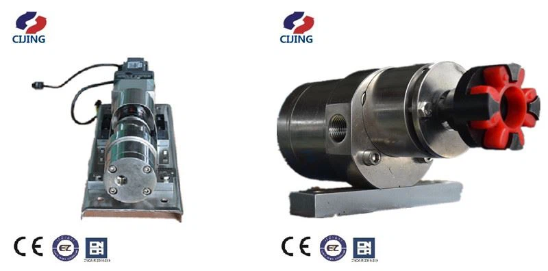 Rotor Pump