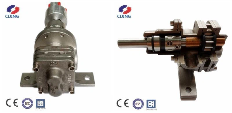 Rotor Pump