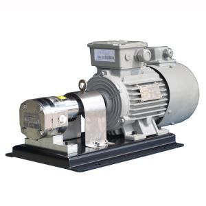 ปั๊มเกียร์สแตนเลสสตีล