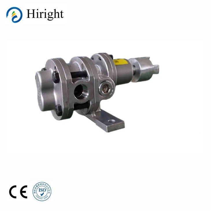 Stainless Steel Sodium Silicate Gear Metering Pump